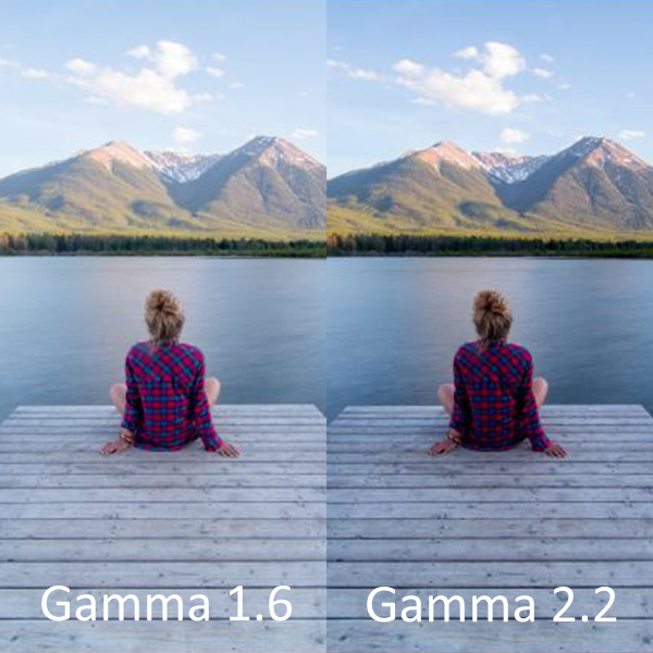 Gamma Calibration